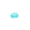 Oval Shape Paraiba